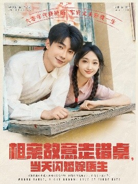 相親故意走錯(cuò)桌，當(dāng)天閃婚嫁醫(yī)生(全集)