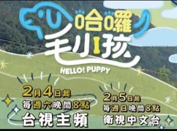 哈啰！毛小孩(全集)